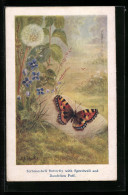 Künstler-AK Tortoiseshell Butterfly With Speedwell And Dandelion Puff, Schmetterling  - Insects