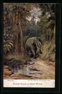 AK Forest Scene In East Africa, Elefanten  - Elephants