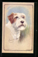 AK Weiss-brauner Terrier Mit Treuem Blick  - Honden