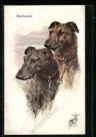 Künstler-AK Jagdhunde, Zwei Deerhounds Mit Kette Verbunden, Hirsch  - Perros