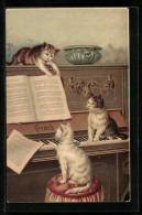 AK Katzen Am Piano  - Katten