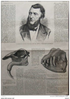 Le Docteur Piorry - Crane Du Dinotherium Giganteum - Page Original 1879 - Historical Documents