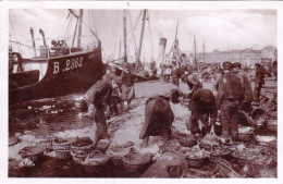 62 - Pas De Calais - BOULOGNE Sur MER - Le Triage Du Poissons Sur Les Quais - Boulogne Sur Mer