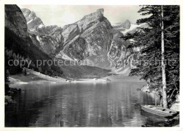 12652062 Seealpsee Berggasthof Forelle Appenzeller Alpen Seealpsee - Otros & Sin Clasificación