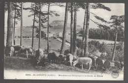 Saint Agrève, Moutons Au Paturage à La Croix De Ribes (A17p27) - Saint Agrève