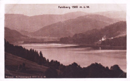 Titisee-Neustadt -  Schwarzwald - Titisee - Titisee-Neustadt