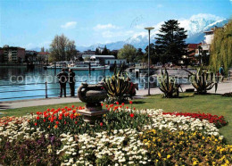 12649244 Locarno Lago Maggiore Uferpromenade Am See Blumenbeet Locarno - Autres & Non Classés