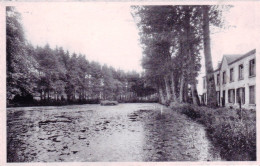 Belgique - SAINT HUBERT - L'étang Et La Parc - Saint-Hubert