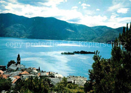 12649203 Ronco Sopra Ascona Panorama Lago Maggiore Alpen Ronco Sopra Ascona - Altri & Non Classificati