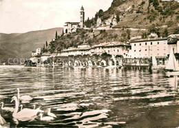 12649191 Morcote Lago Di Lugano Ansicht Vom Luganersee Aus Schwaene Morcote Lago - Andere & Zonder Classificatie