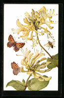AK Blossoms, Butterflies And Bees  - Insekten