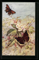 AK Schmetterlinge Mit Orangener Und Schwarzer Färbung Auf Beerenstrauch Mit Blüten, Comma, Camberwell Beauty  - Insetti