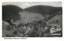 Germany Hohenluftkurort Wildemann (Oberharz) General View - Wildemann