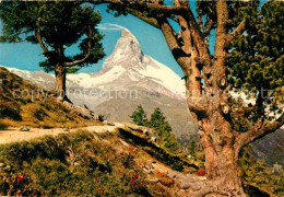 12647732 Zermatt VS Gebirgspanorama Mit Matterhorn Walliser Alpen Zermatt - Altri & Non Classificati