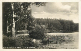 Germany Bad Suderode Am Harz Am Silberteich - Other & Unclassified