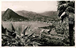 12647611 Lugano Lago Di Lugano Panorama Luganersee Monte San Salvatore Palmen Lu - Otros & Sin Clasificación