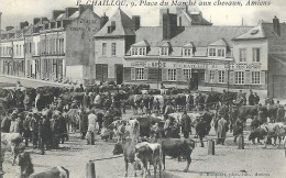 80 AMIENS PLACE DU MARCHE AUX CHEVAUX METIER AGRICULTURE VACHES ANIMATION SOMME - Amiens