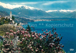 12646104 Ronco Sopra Ascona Lago Maggiore Alpenpanorama Ronco Sopra Ascona - Andere & Zonder Classificatie