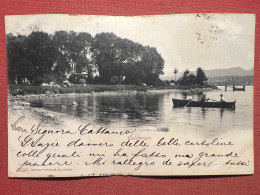 Cartolina - Svizzera - Zürichhorn - Panorama - 1902 - Ohne Zuordnung