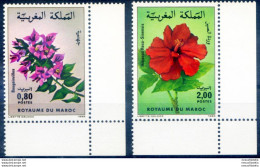 Flora. Fiori 1985. - Marocco (1956-...)