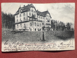 Cartolina - Zürich - Alkoholfreies Restaurant Auf Dem Zürichberg - 1902 - Ohne Zuordnung