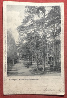 Cartolina - Stuttgart - Hasenberg-Spielplatz - 1902 - Unclassified