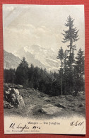 Cartolina - Switzerland - Wengen - Die Jungfrau - 1902 - Ohne Zuordnung