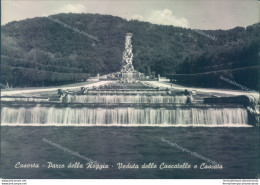 Aa312 Cartolina Caserta' Citta' Parco Della Reggia - Caserta