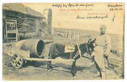 CH 74 - 22786 SHANGHAI, Farmer With Donkey, China - Old Postcard - Used - 1911 - China