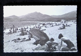 Cp, 66, Argeles Sur Mer, La Plage Et Les Albères, Vierge, Ed. Apa-Poux - Argeles Sur Mer