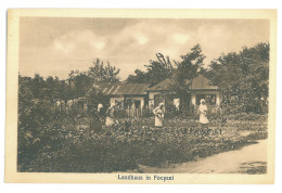 RO 87 - 17370 FOCSANI, Garden, Romania - Old Postcard - Unused - Roumanie