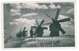 MOL 2 - 13595 WINDMILLS IN BESSARABIA, Moldova - Old Postcard, Real PHOTO - Unused - Moldavia