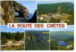 CPSM  10.5 X 15  Vosges  La Route Des Crêtes  Tunnel Et Col De La Schlucht Hohneck  Etang Des Truites  Gazon Martin - Autres & Non Classés