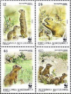 Macedonia 2011 WWF European Ground Squirrel Spermophilus Citellus Set Of 4 Stamps In Block 2x2 MNH - Nordmazedonien