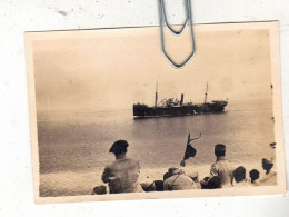 PHOTO NAVIRE BATEAUX PAQUEBOT CARGO SS ARCTURUS 1923 - Bateaux