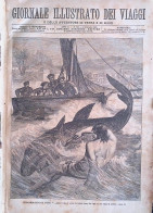 Giornale Illustrato Dei Viaggi 4 Settembre 1879 Caccia Leone Ferrovia Del Globo - Vor 1900