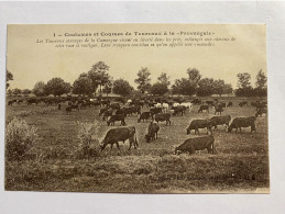 N°1  COUTUMES ET COURSES DE TAUREAUX A LA PROVENCALE TAUREAUX GARDIANS MANADE CAMARGUE PROVENCE - Languedoc-Roussillon