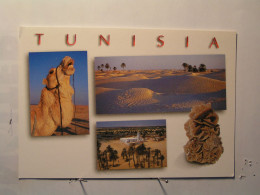 Tunisie - Le Grand Sud - Vues Diverses - Tunesien