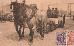 ANVERS ANTWERPEN. Chevaux De Corporations Natiepaarden 1921 Scène Au Port - Antwerpen