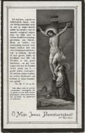 DP. STEPHANIE BEATSE - VANDE VELDE ° RENAIX 1865- + AUDENARDE 1912 - Godsdienst & Esoterisme