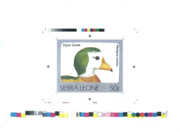 1992 Sierra Leone Animals Birds Raptors Pigmy Goose Nettapus Auritus - Rare Imperf Proof Essay Trial - Andere & Zonder Classificatie