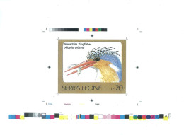 1992 Sierra Leone Animals Birds Raptors Malachite Kingfisher Alcedo Cristata - Rare Imperf Proof Essay Trial - Autres & Non Classés