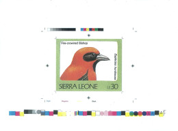 1992 Sierra Leone Animals Birds Raptors Fire Crowned Bishop Euplectes Hordeacea - Rare Imperf Proof Essay Trial - Other & Unclassified