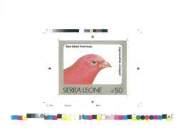 1992 Sierra Leone Animals Birds Raptors Red Bellied Fire Finch Lagonosticta Senegala - Rare Imperf Proof Essay Trial - Altri & Non Classificati