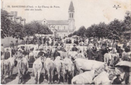 BERRY SANCOINS Le Champ De Foire , Coté Des Bœufs - Sancoins