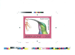 1992 Sierra Leone Animals Birds Raptors Superb Sunbird Nectarinia Superba - Rare Imperf Proof Essay Trial - Otros & Sin Clasificación