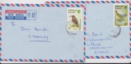 Falkland Islands Lettre Timbre Oiseau Bird Stamp Mail Cover Lot Of 2 Commercial Covers - Falklandeilanden