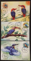 Full Set Of 3 Vietnam Viet Nam Maxi Maxicards 2020 : Kingfisher Bird / Birds / Fish (Ms1135) - Viêt-Nam