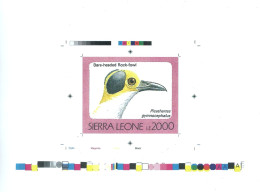 1992 Sierra Leone Animals Birds Raptors Bare Headed Rock Fowl Picathartes Gymnocephalus - Rare Imperf Proof Essay Trial - Altri & Non Classificati