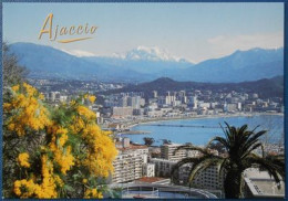 F14  Corse  Ajaccio Vue Sur La Ville Nouvelle - Corse